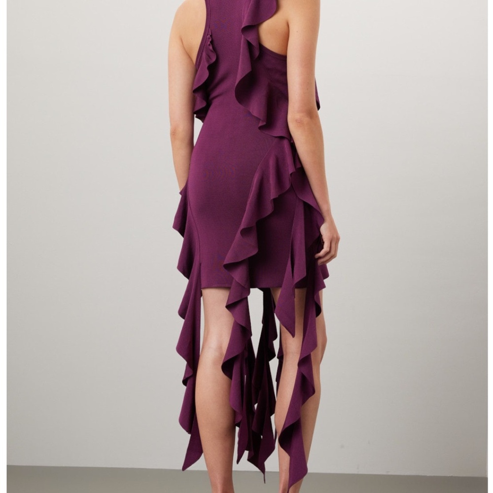 SIMKHAI Knit Ruffled Dress - Picture 4 of 5
